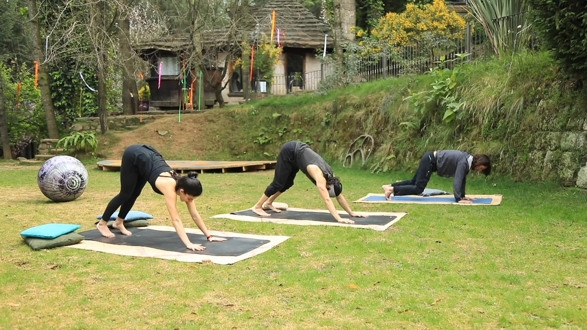 Boxqueteva Journey by Andie Johnson - Recognize Confront & Release