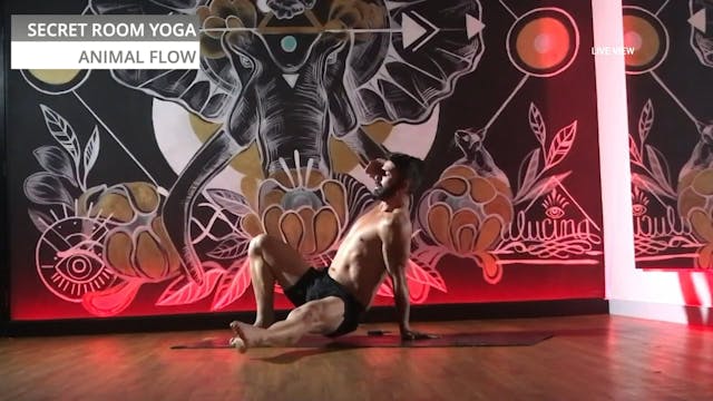 ANIMAL FLOW: This is animal... flow