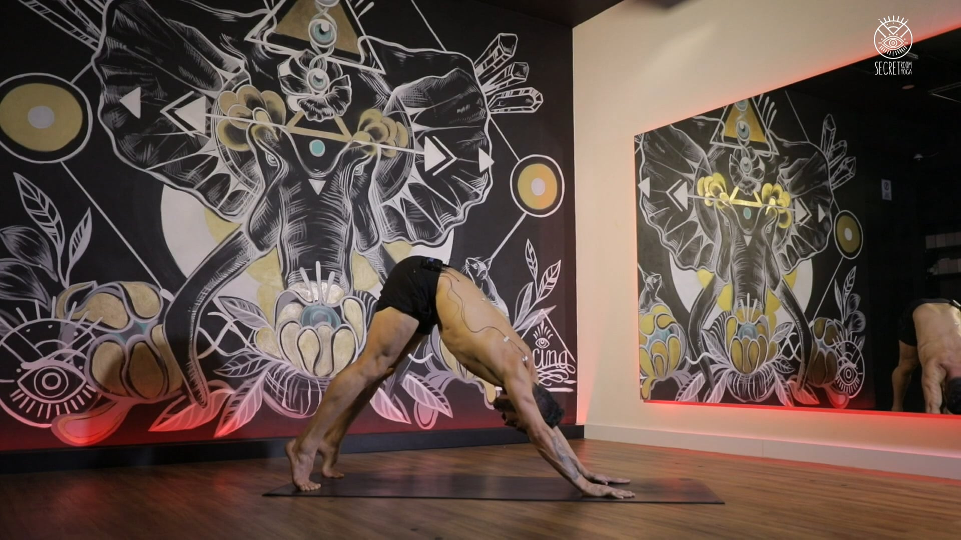 ANIMAL FLOW - Road to Wave Unload