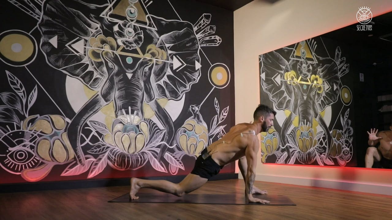 ANIMAL FLOW Road to Front Kick Through Animal Flow SecretRoom® Yoga On Demand
