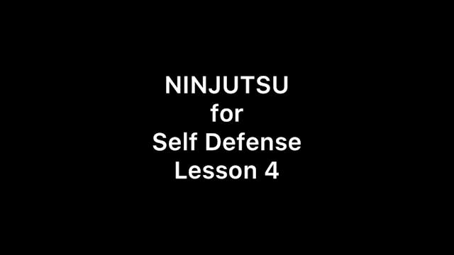 Lesson 4 Intro
