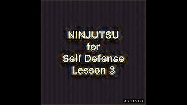 Lesson 3 Intro