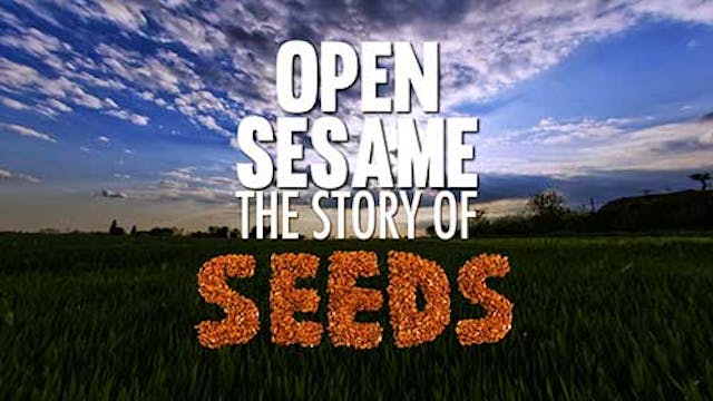 Open Sesame Japanese Trailer