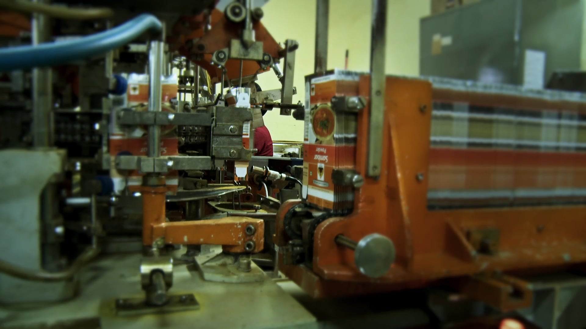 Ashram Masala 2 min Sattva End Plate