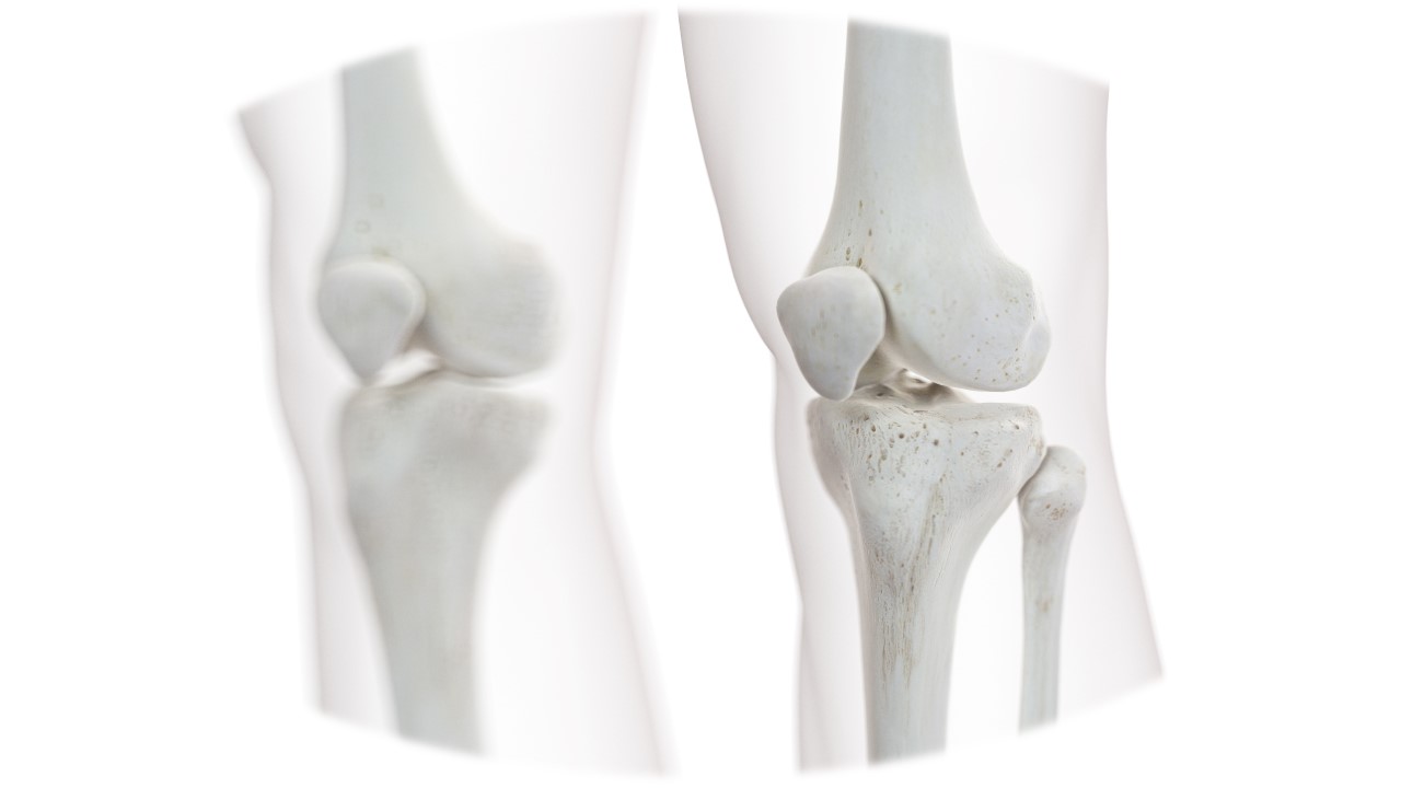 Self-care for Knee Pain