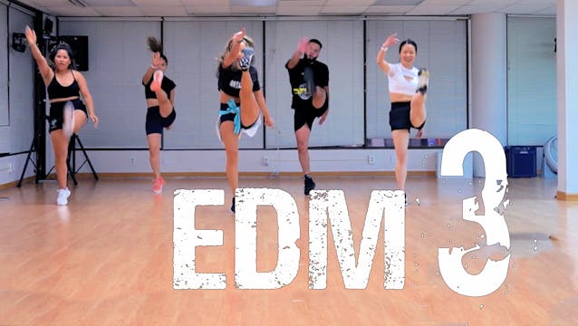 EDM 3 