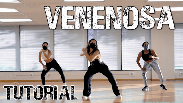 "Venenosa" [02/21]