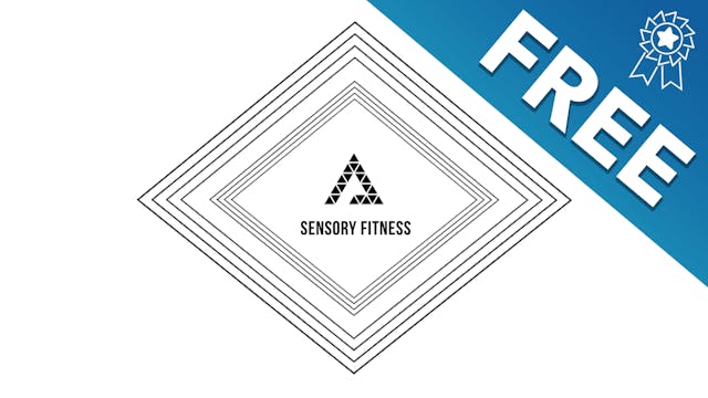 03. Sensory Fitness - Tactile System