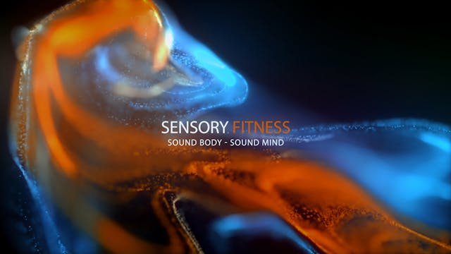 Trailer - Sensory Fitness