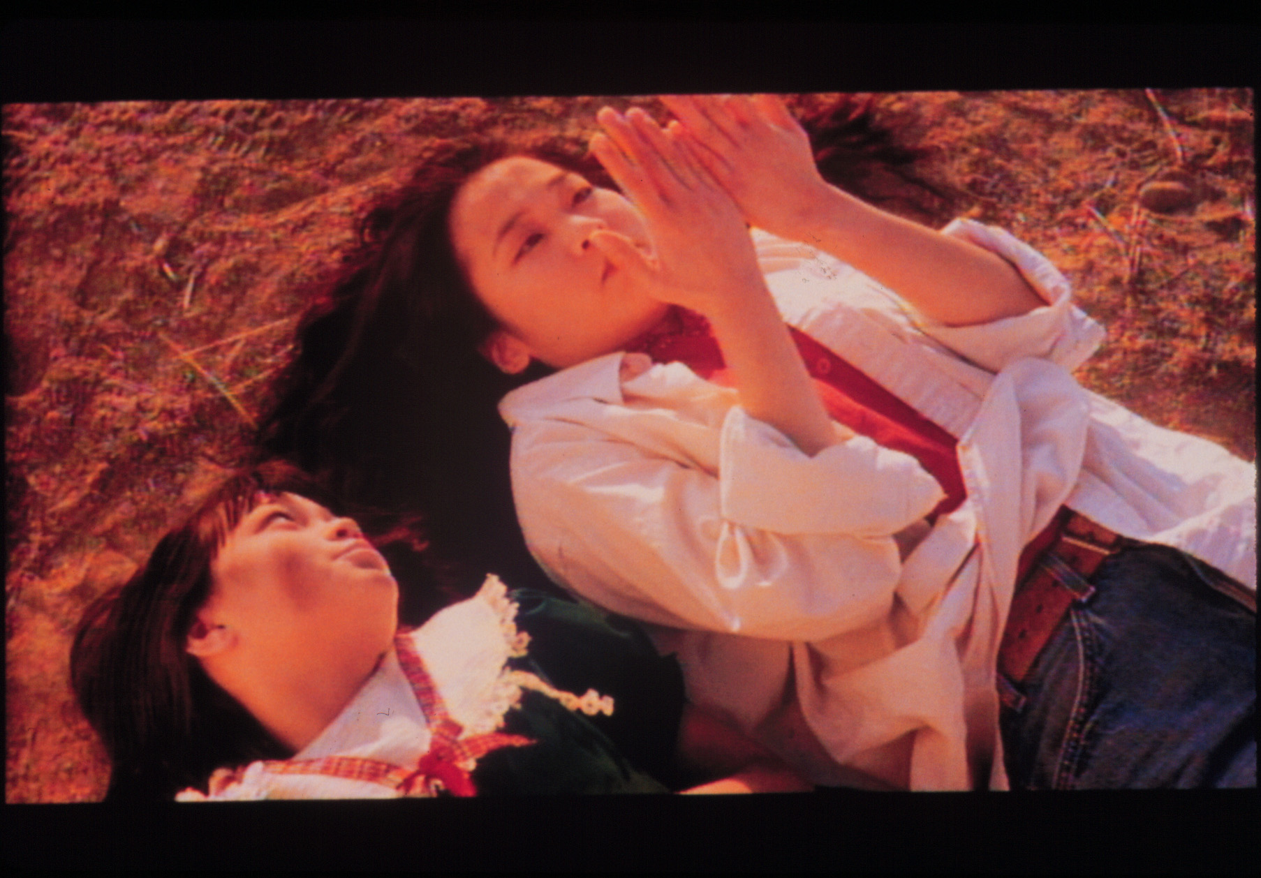 Strawberry Fields @ FOFIF