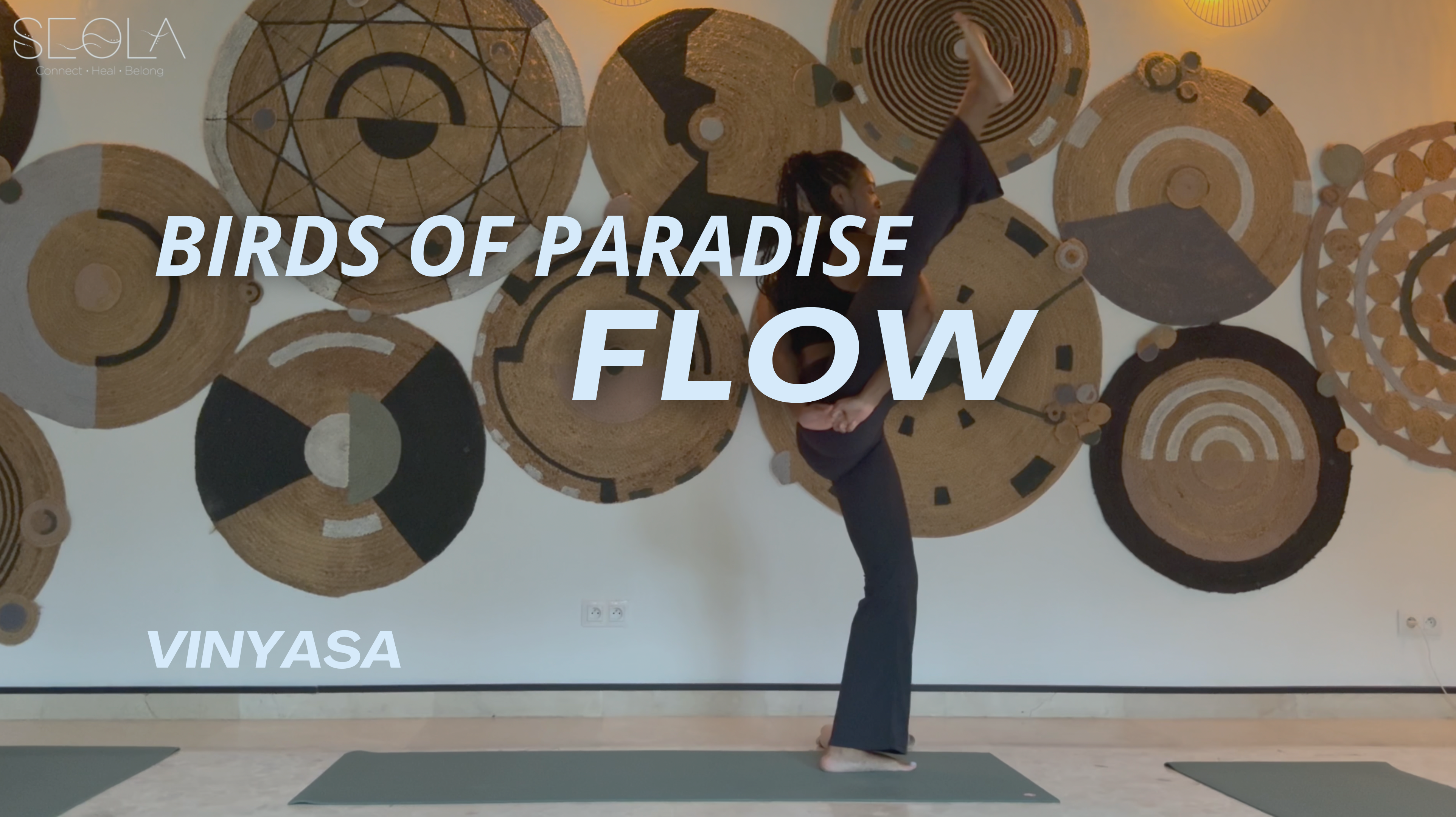 Birds Of Paradise Flow
