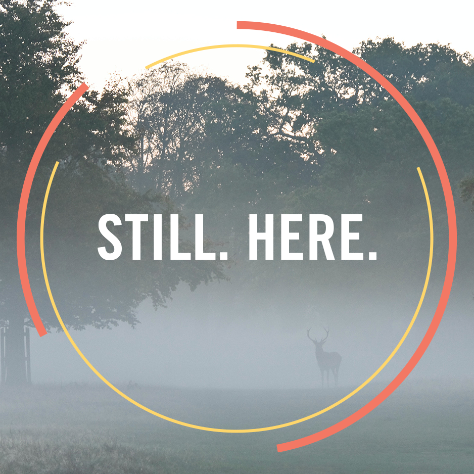 Program: Still. Here.