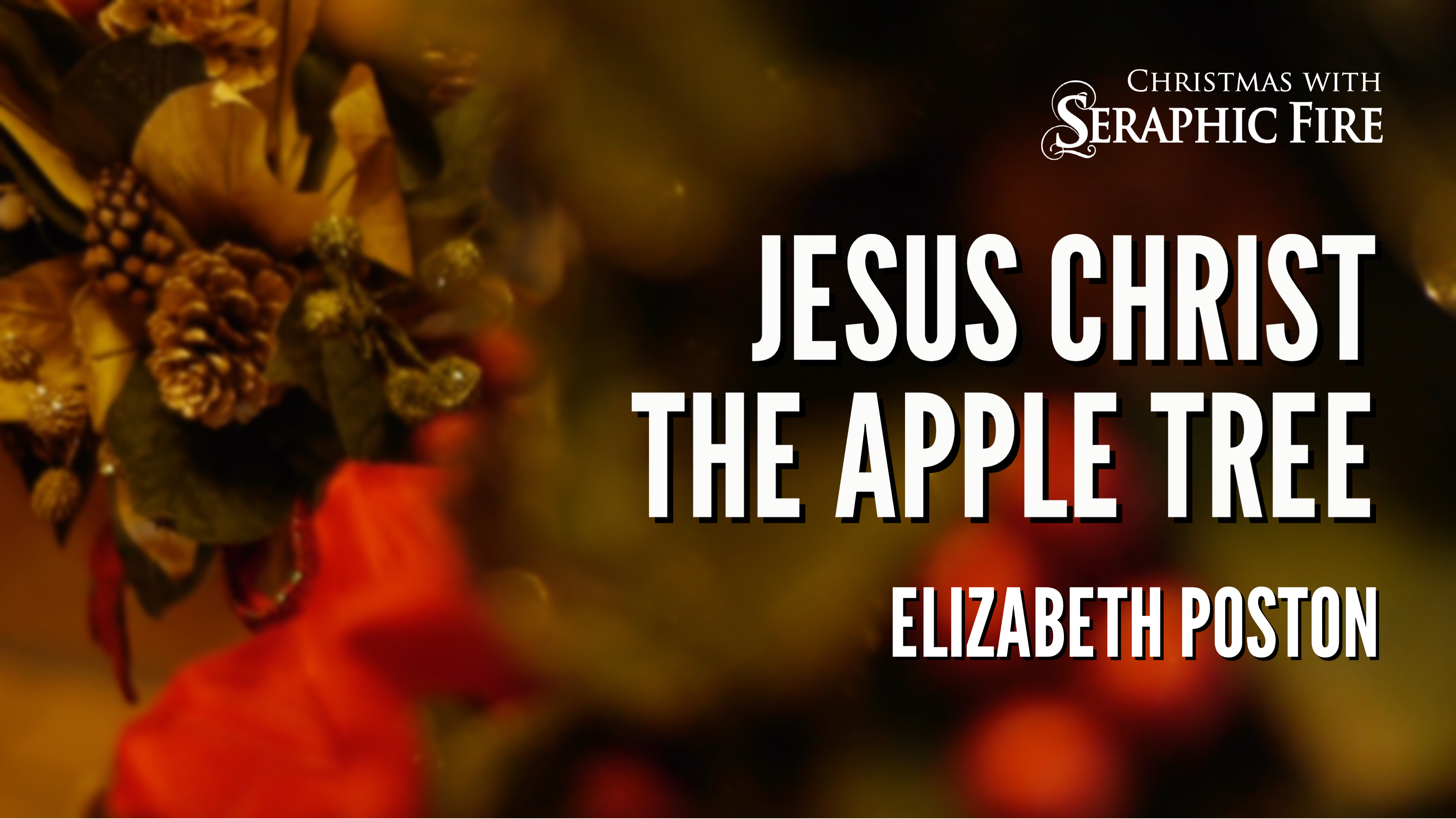 Seraphic Fire Digital Library