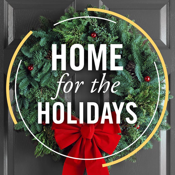 One Time Rental: Home for the Holidays