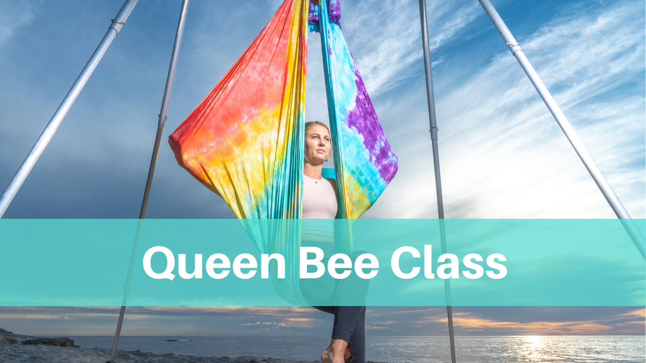 Queen Bee Class