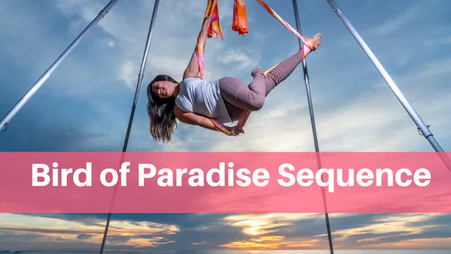 Happie Yoga's Bird of Paradise Sequence