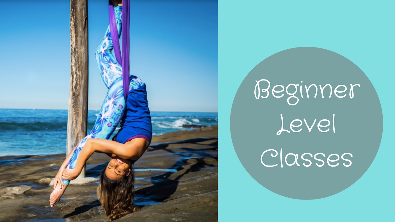 Beginner Level Classes