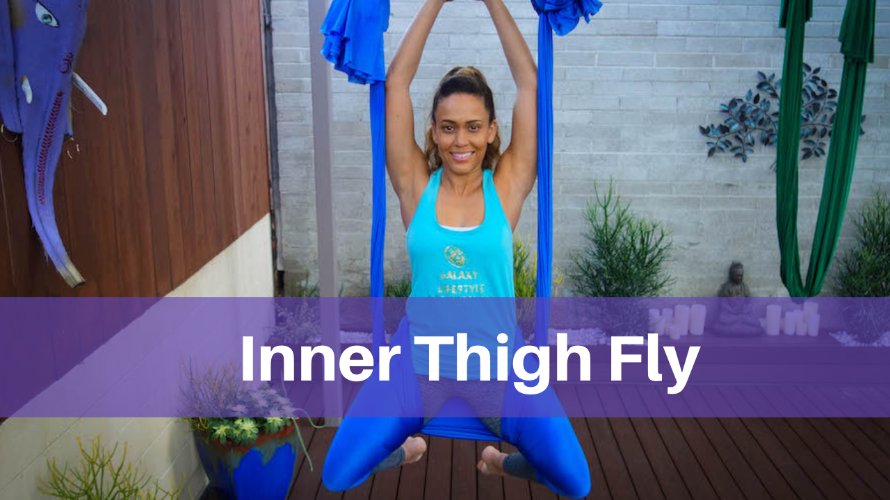Inner Thigh Fly 