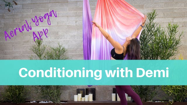 Conditioning Flow with Demi