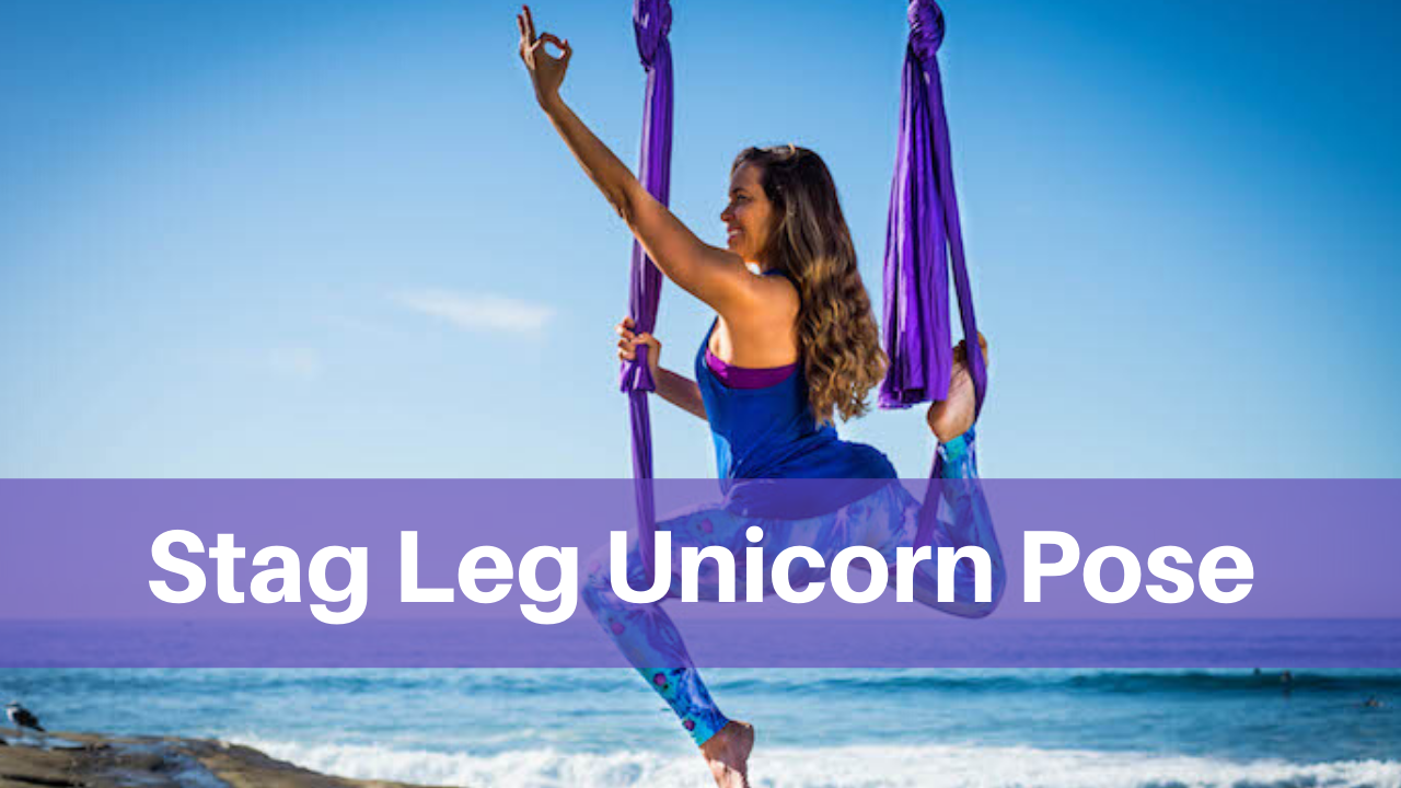 Stag Leg Unicorn Pose