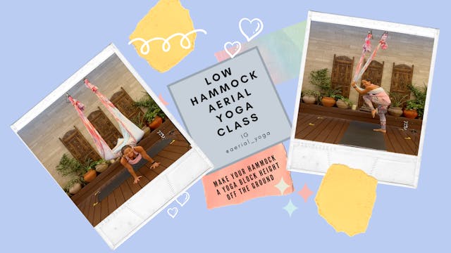 Quality Time Low Hammock Class