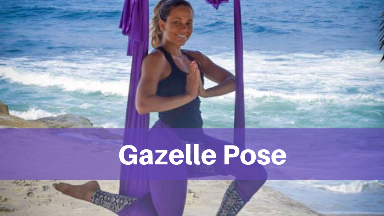 Gazelle Pose 