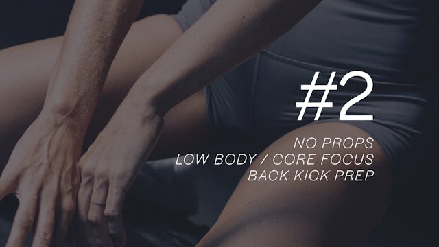 REBOUND LITE MELD 45 #2 with Janelle