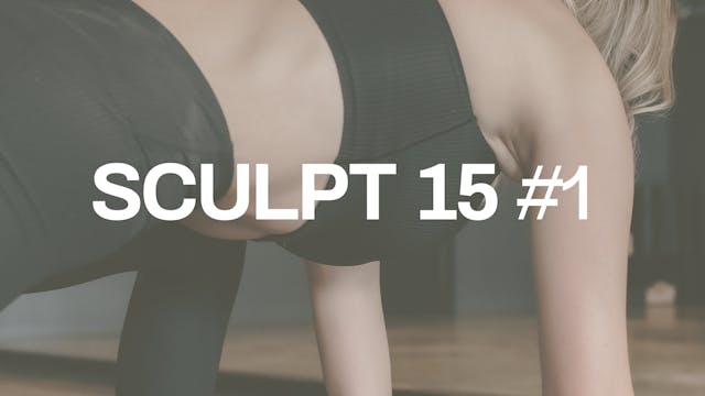 SCULPT 15 #1 with Erin L