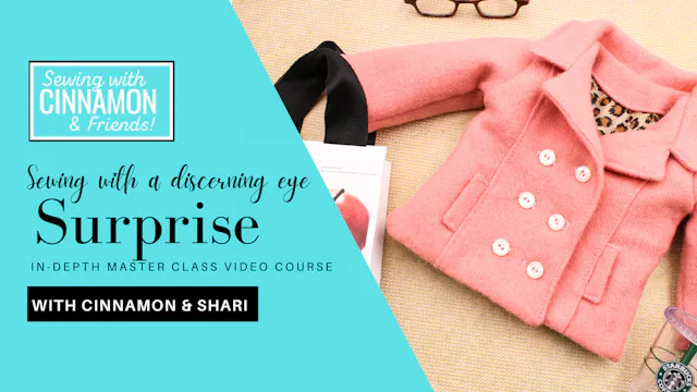 Sewing With A Discerning Eye: Surprise