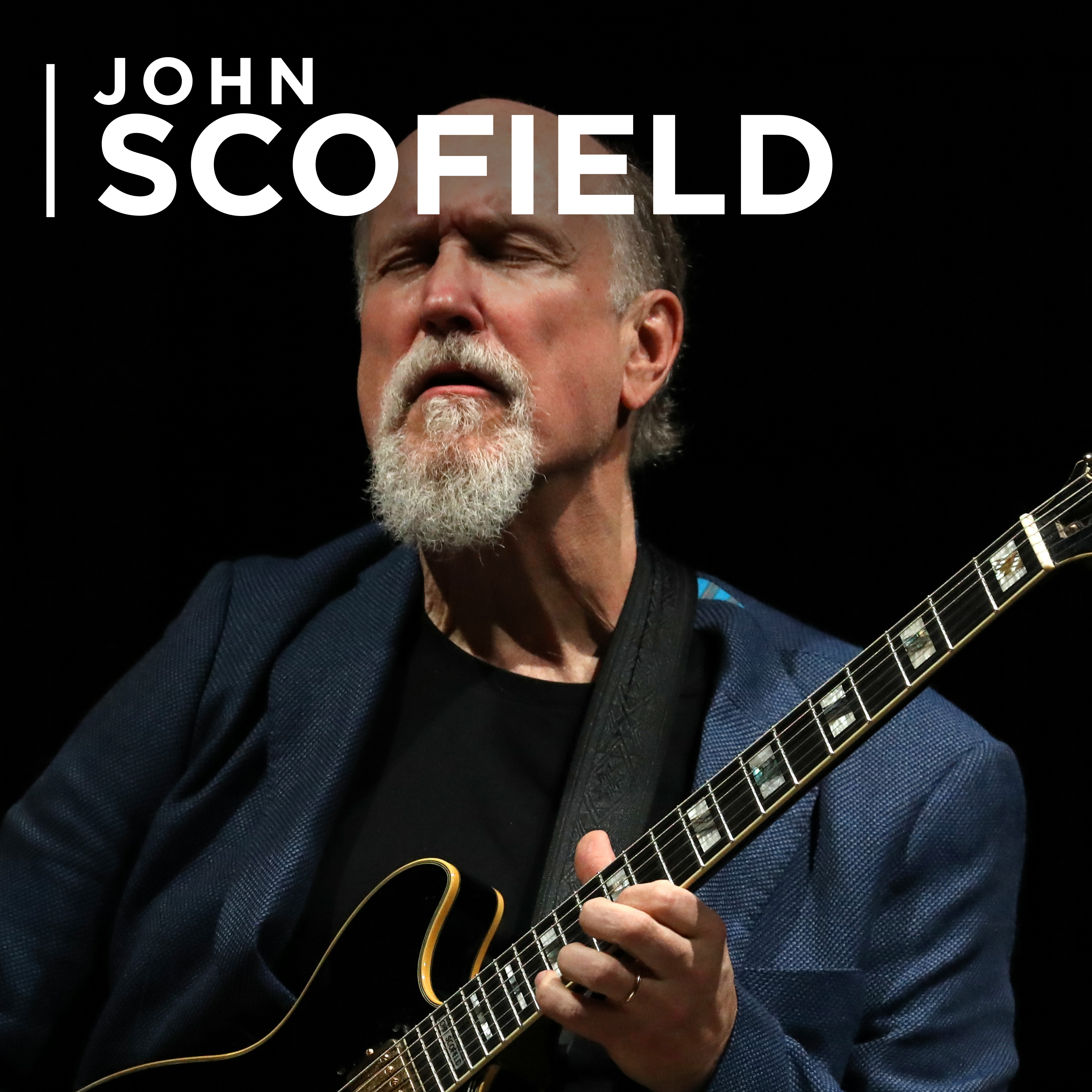 John Scofield Electrospective