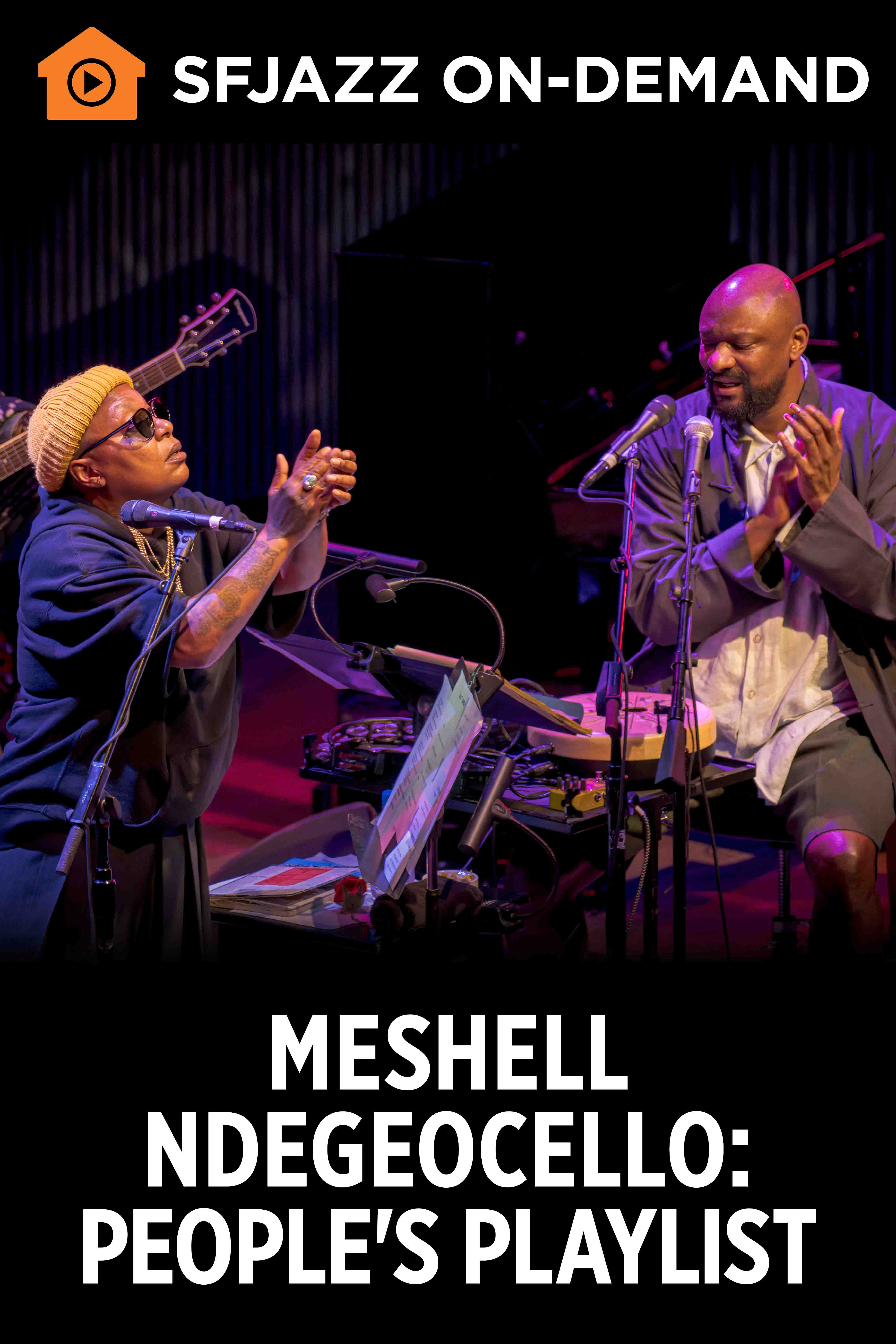 Meshell Ndegeocello: The People's Playlist (On-Demand)