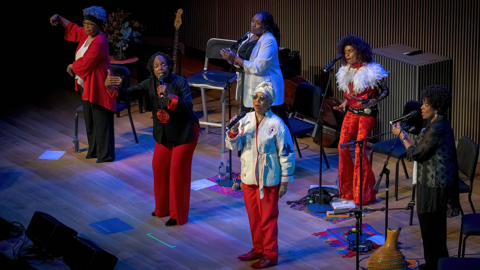 Sweet Honey In the Rock (On Demand)