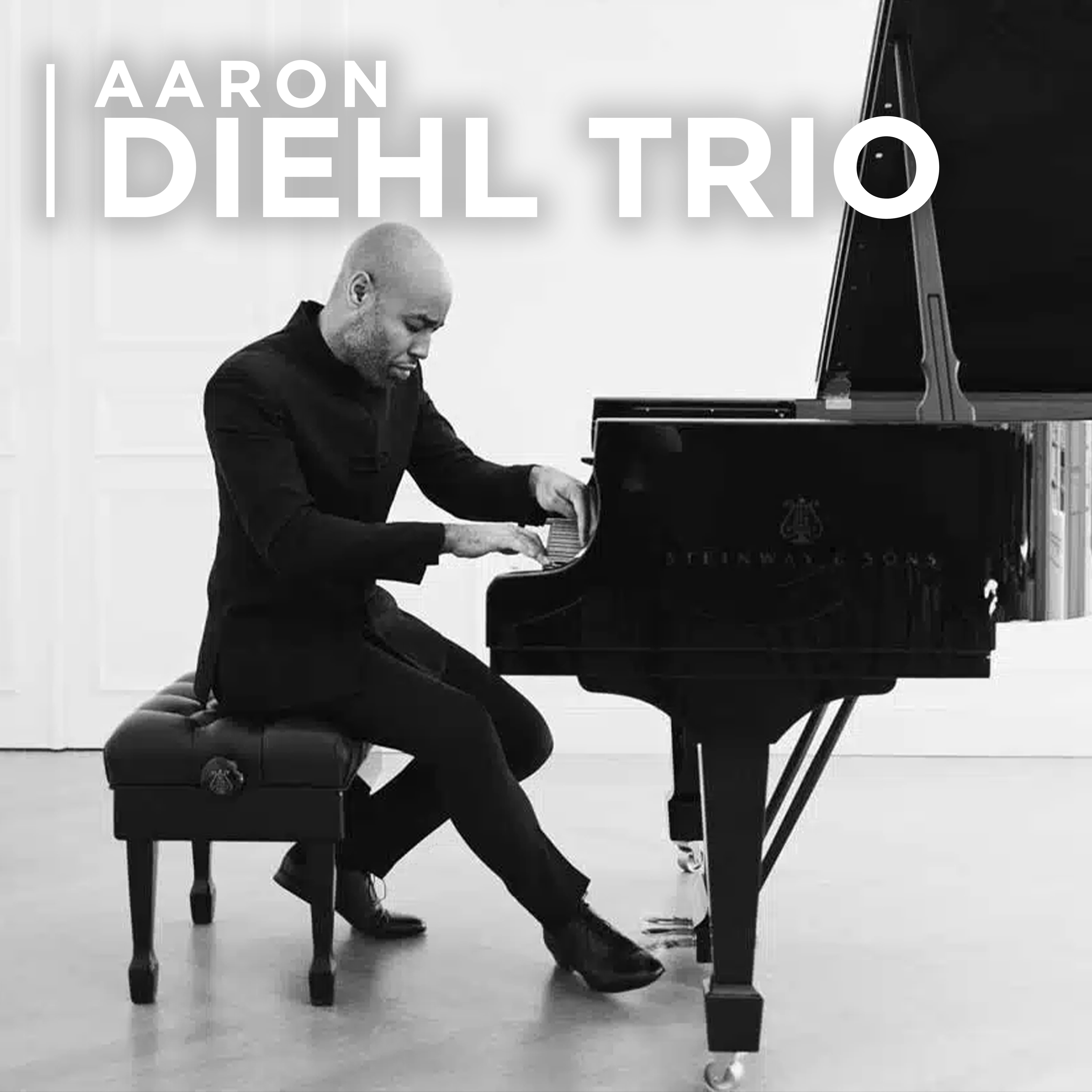 Aaron Diehl Trio