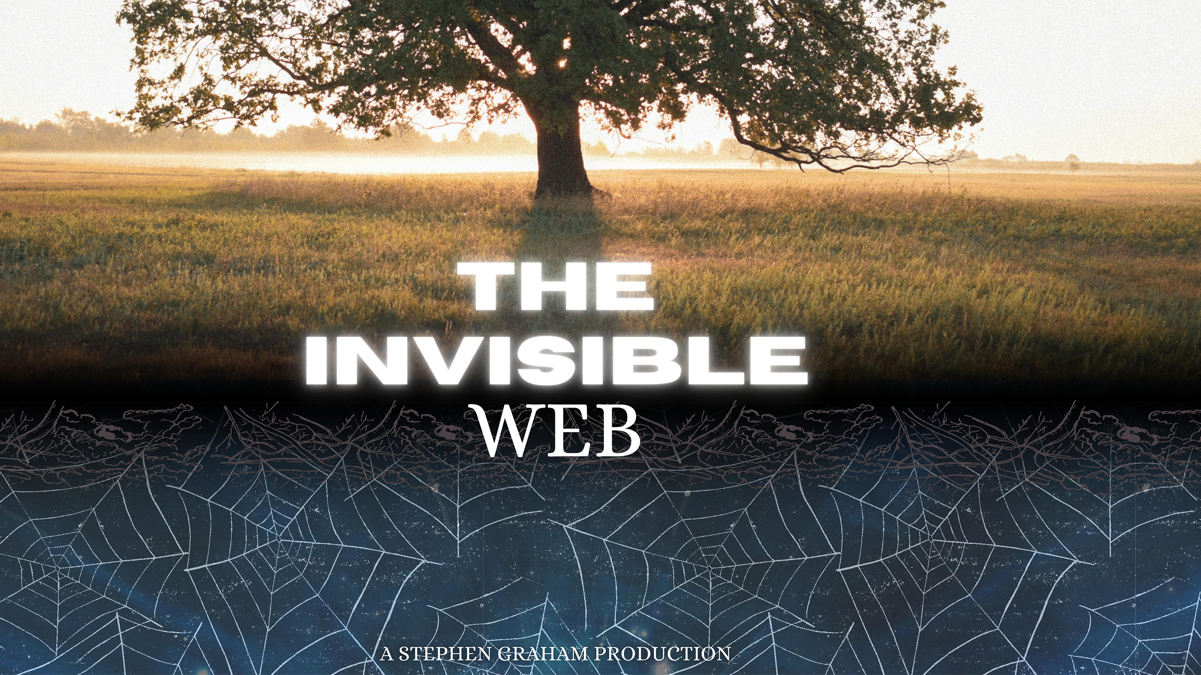The Invisible Web 