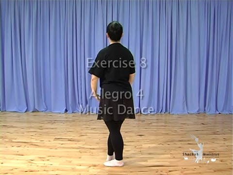 DL3 DEMONSTRATION COURTS EXERCISE 8 - ALLEGRO 4