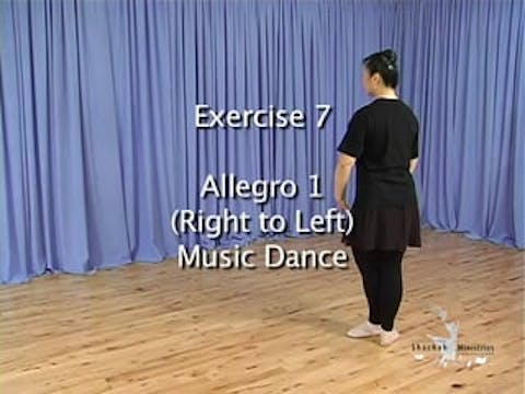 DL3 DEMONSTRATION COURTS EXERCISE 7 - ALLEGRO 1