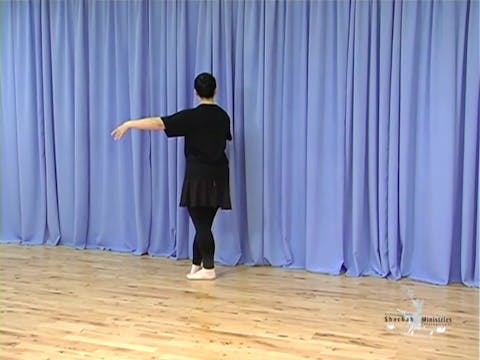 DL2 DEMONSTRATION COURTS EXERCISE 6 - PIROUETTE 2