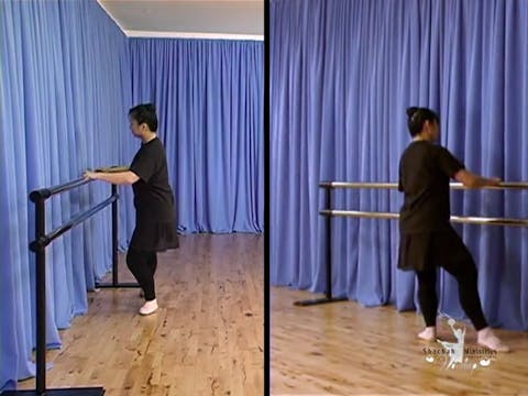 DL1 INSTRUCTION GATES EXERCISE 2 - BATTEMENT TENDU