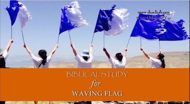 Waving Flag Video Set