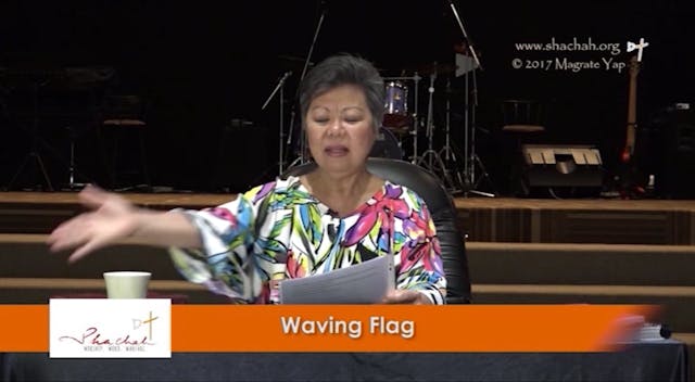 INTRODUCTION TO WAVING FLAG