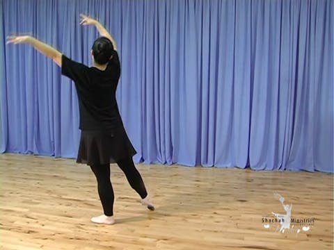 DL3 INSTRUCTION COURTS EXERCISE 9 - SET DANCE 3