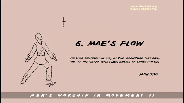 MWIM2 INSTRUCTION SEQUENCE 6. MAE'S FLOW