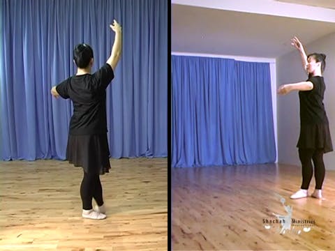 DL1 INSTRUCTION COURTS EXERCISE 5 - BATTEMENT TENDU