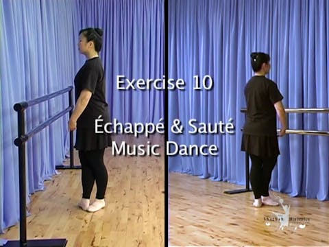 DL2 DEMONSTRATION GATES EXERCISE 10 - ECHAPPE AND SAUTE