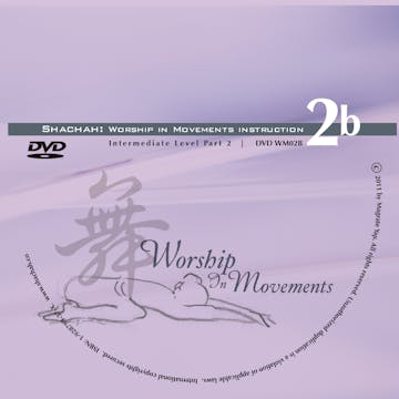 Worship in Movement Level 2 Video Set