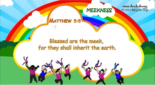 CT01: INSTRUCTION PATTERN 16. MEEKNESS