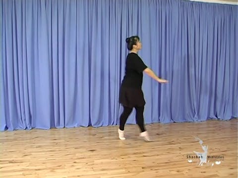 DL3 DEMONSTRATION COURTS EXERCISE 9 - SET DANCE 3