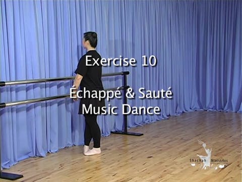 DL3 DEMONSTRATION GATES EXERCISE 10 - ECHAPPE AND SAUTE