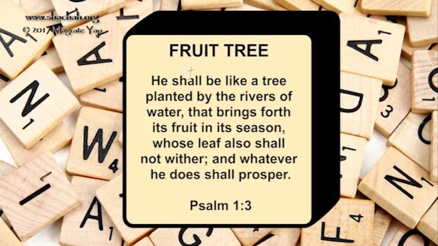 THM INSTRUCTION PATTERN 9. PEACE AND FRUIT TREE