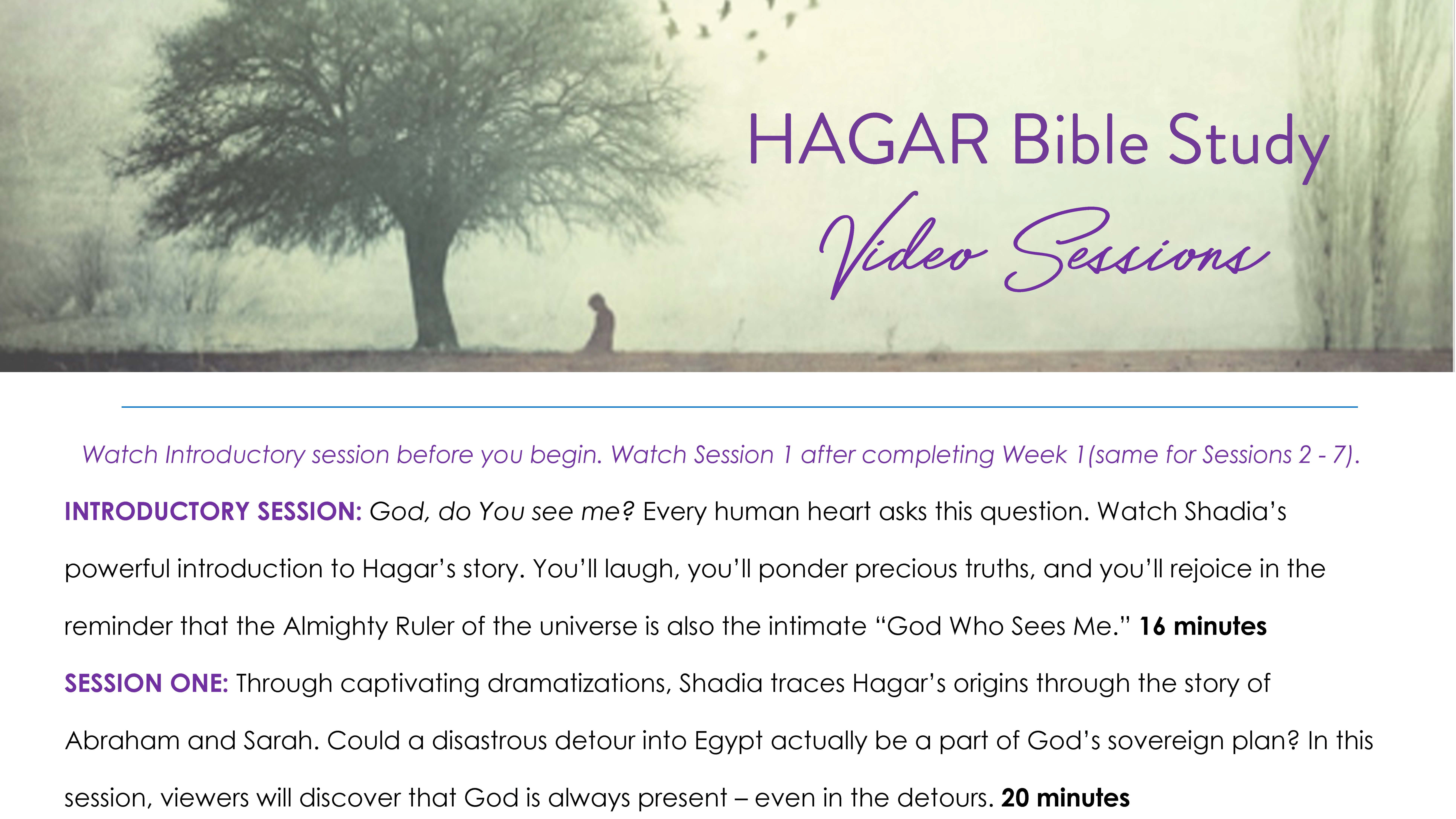 Hagar Guide to Video Sessions - PDF.pdf